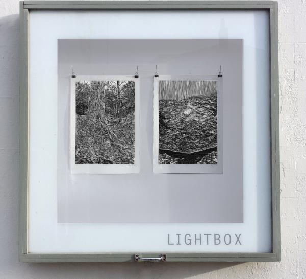 Anna Lundh - woodblocks in lightbox