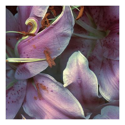 FRAGRANT MATTERS (CLEAN) by Lee Jensen