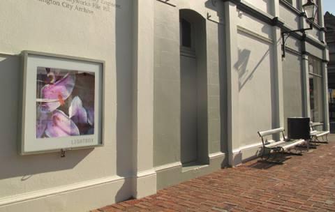 FRAGRANT MATTERS (CLEAN) installed in the Thistle Hall Lightbox. Lee Jensen.