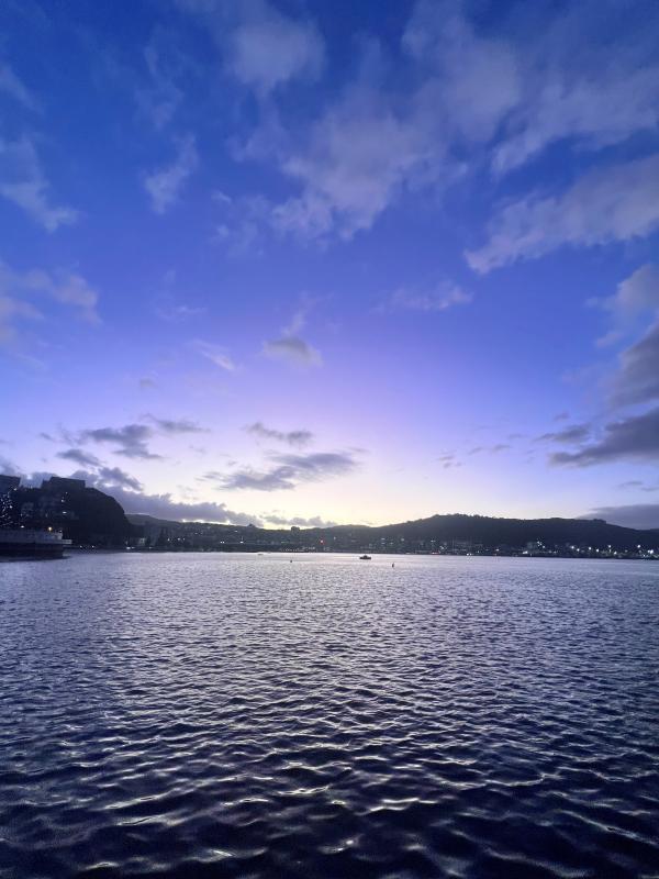 Ava Birkinshaw's lightbox image