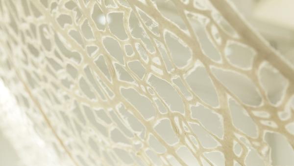 A close up of a detailed white paper work by Chiaki Morita