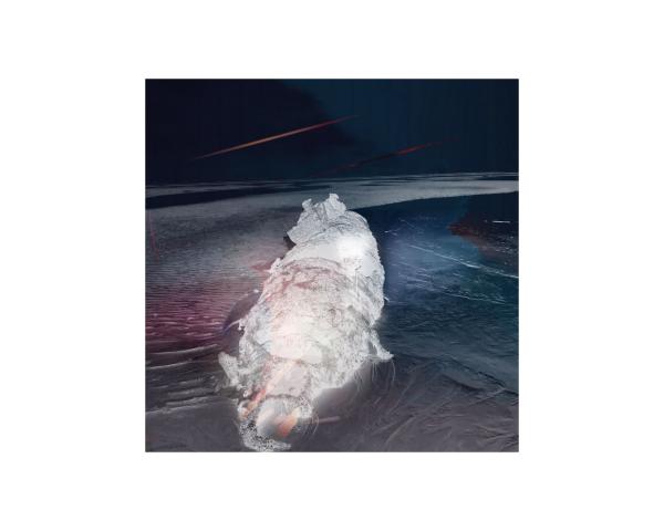 Artwork by Neil Johnstone. An ambiguous object encrusted with barnacles lies in beach sand. Is it an overturned boat? A rock formation? It appears ghost like against the inky black sky and dark ripples of sea water in this negative printed photograph.