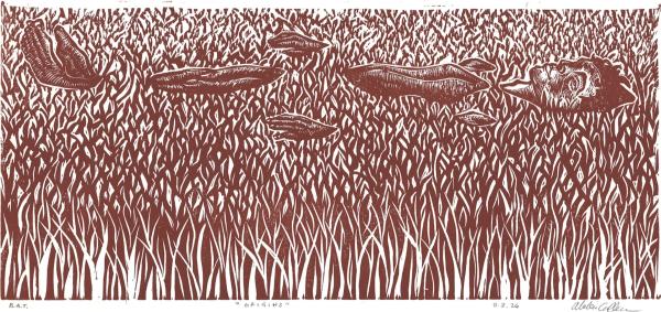 Origins by Abbie Calhoun. A wood cut or linotype print, in earthy ochre coloured ink. Densely packed forest trees support a floating figure, at peace and half submerged in the canopy.