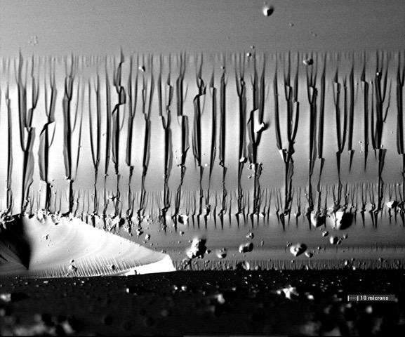 Electron micrograph image of salt by John Patterson