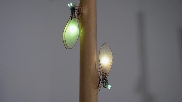 Anne Niemetz interactive sculpture. Two glowing electronic cicadas are placed on a smooth tree trunk installed in a gallery.