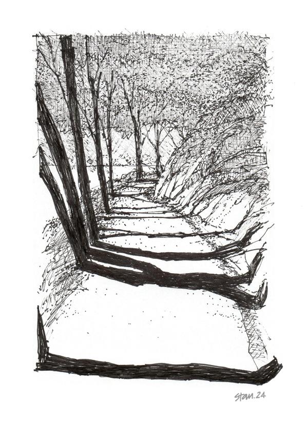 Pen and ink drawing from Stantiall Studio. A tree lined path on a bright day, bold graphic shadows of tree trunks are thrown across a bare white path. Is it bleached by the sunlight, or covered in snow?  Walk to Anchorage.