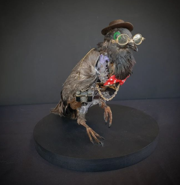 A dapper taxidermy pigeon, wearing spectacles, bowtie, and bowler hat and carrying a miniature vintage camera.. Sculpture by Dan Ross