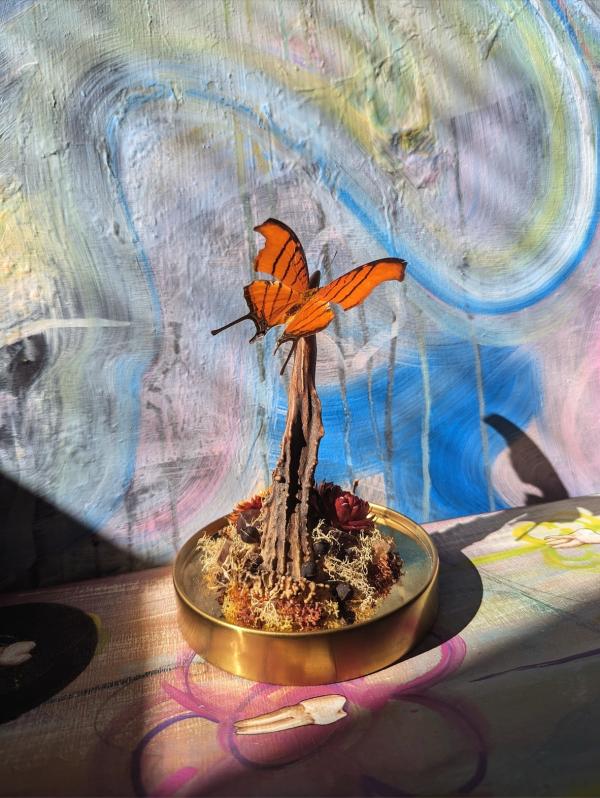 Assemblage art by Ben Klocek. A monarch butterfly specimen mounted on a mossy branch base.