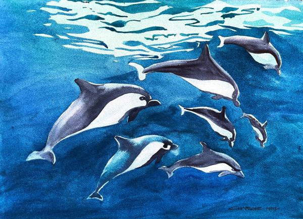 Charlotte Hird watercolour painting of dolphins in sparkling deep-blue water.