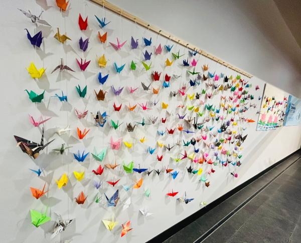 A wall of origami paper cranes. Part of Tūmanako! Children's Artworks for Peace