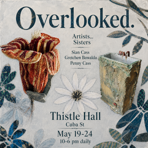 Poster for 'Overlooked.' an exhibition by Sian Cass, Gretchen Buwalda, Penny Cass